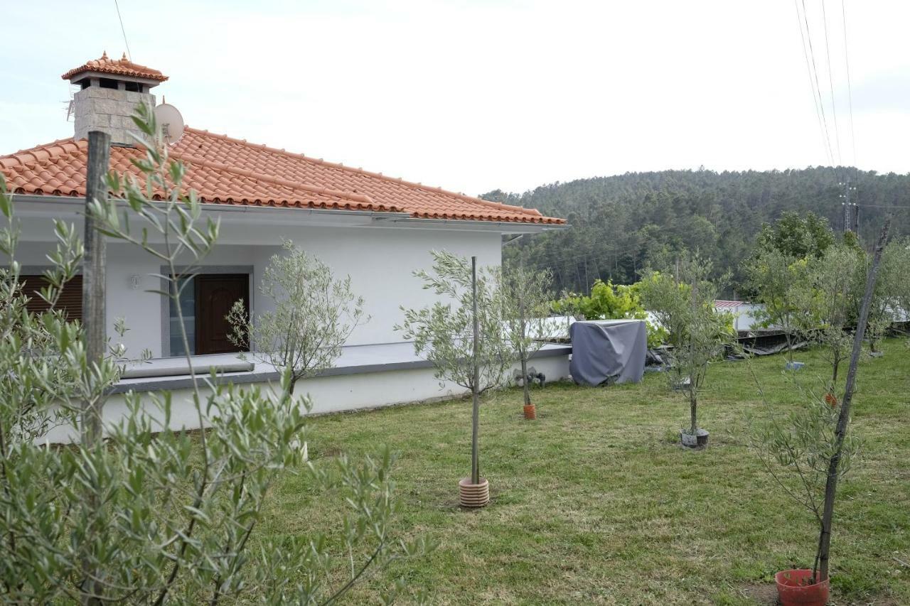 Vila Casa Do Aido De Cima Vale de Cambra Exteriér fotografie